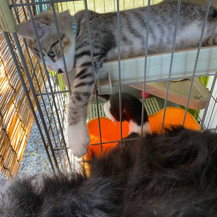 D97b741e 9b80 44cf a598 2ce5e348abe2 1627437838715