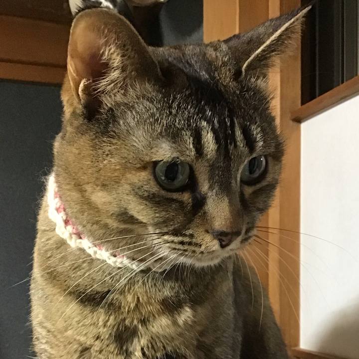 D97b7720 2427 49b8 8749 39828ebe0315 1710499272035