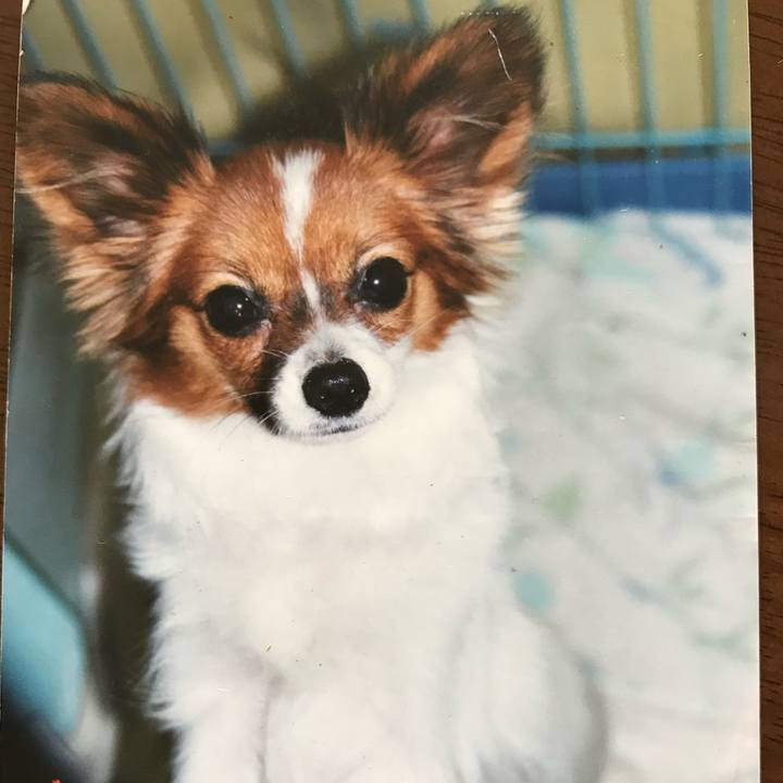 D97b99c0 a16e 4d06 aa85 c89ac7ed27a0 1646972061389