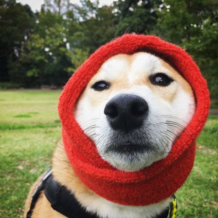 D97be704 5560 4284 b547 43f284a350ce 1539843240202