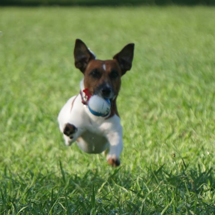 D97c2fe2 6f38 4efe 8030 4bf80758361e 1534288529384