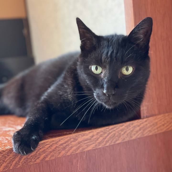 D97c607d fb92 48f1 854b d38610428712 1626140506095