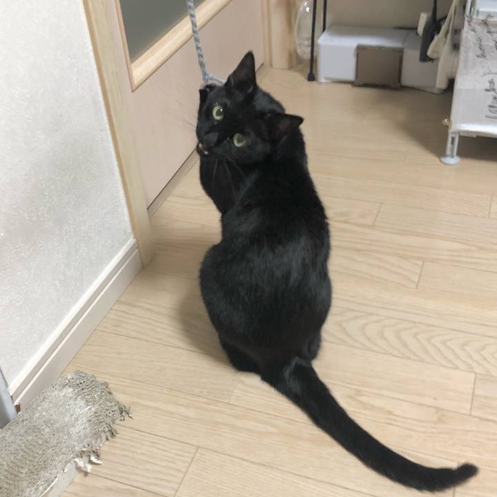 D97ca0dc ce44 4401 af8a 76fce2455ca9 1620305726741