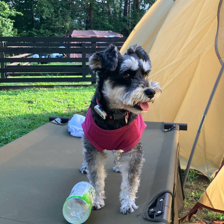 D97d07cd 1d05 417a 8c66 7496edb50b7c 1755307411337