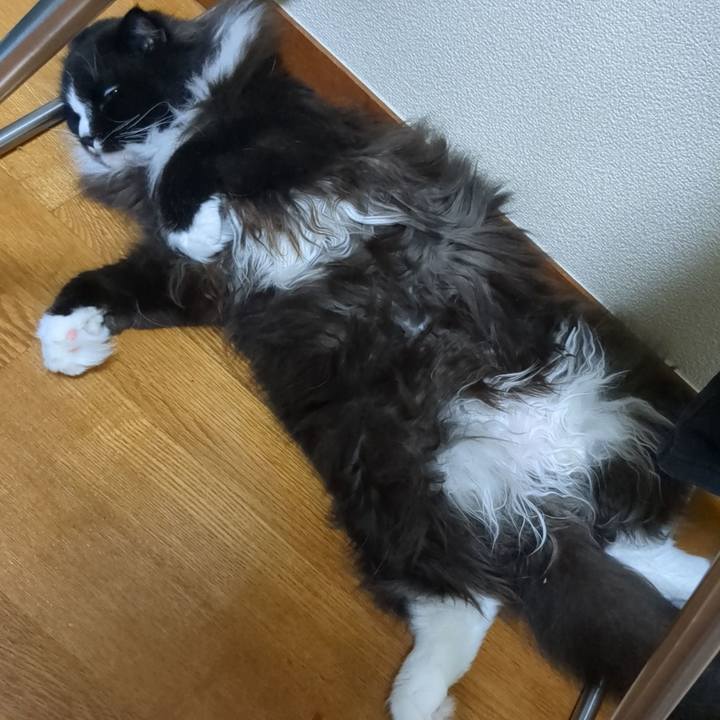 D97d2127 4f53 42b0 9c79 c5332f9345b0 1720667683022