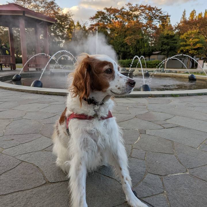 D97d48dc d3c1 4fcc b3a8 a18982aced93 1667380991814