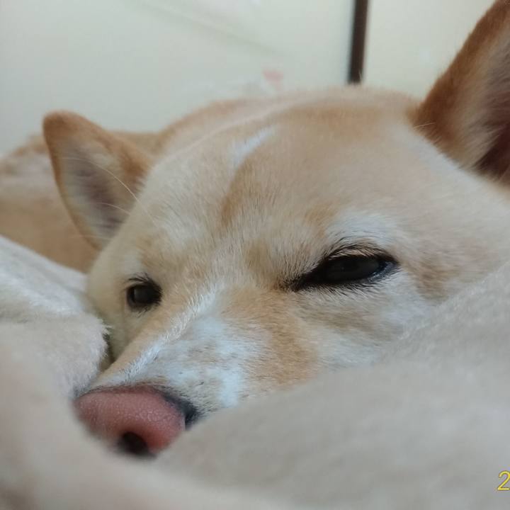 D97d4f57 84fa 4b92 9fd3 7d9a2efc638a 1584566709065