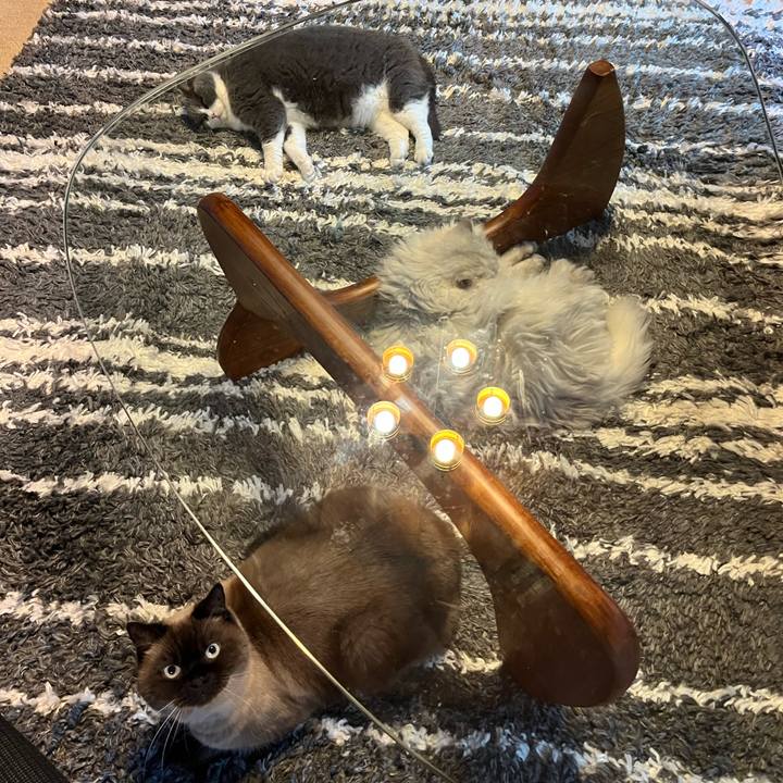 D97d8347 ea94 4179 9de8 34f971e964bb 1734765716980