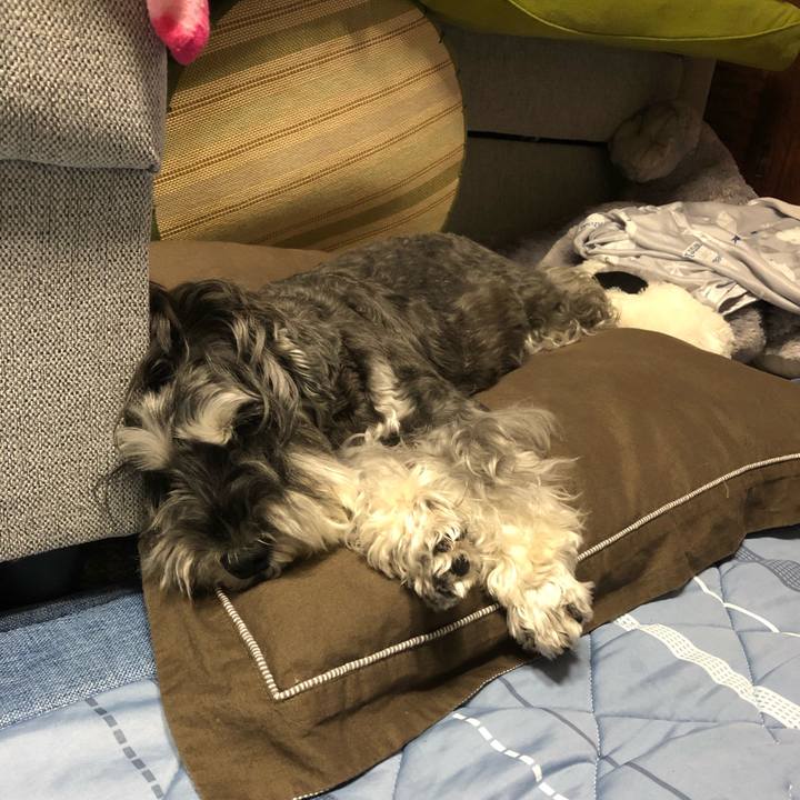 D97da9ab 966f 4c68 9f86 df94893b8d66 1664026031426