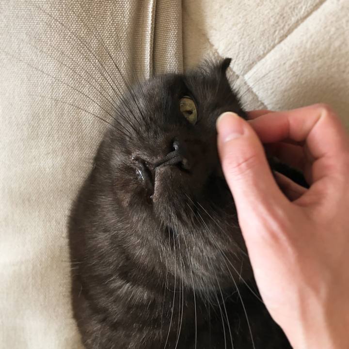 D97db45d c178 4da4 8ca2 100d78323192 1509847473121