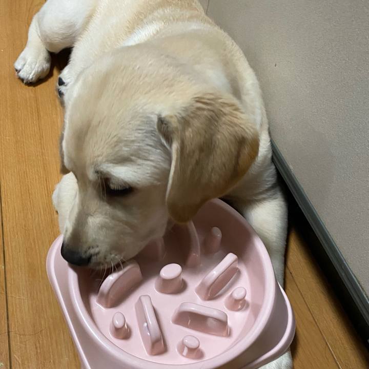 D97e22ad 3ce6 40be a5b9 60eab9104634 1613986549067