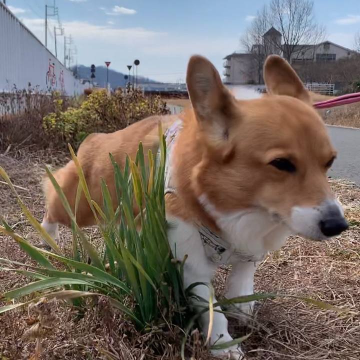 D97e5948 a15d 471e b08a c2ee12807881 1677126463943