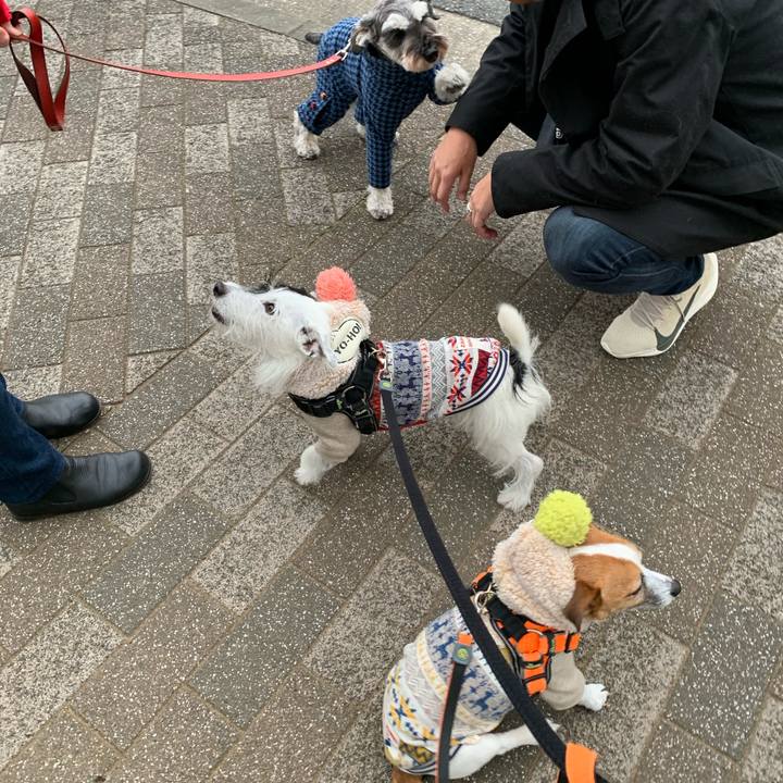 D97e8cf1 03d9 4225 b2b0 a093b6e38391 1576915204750