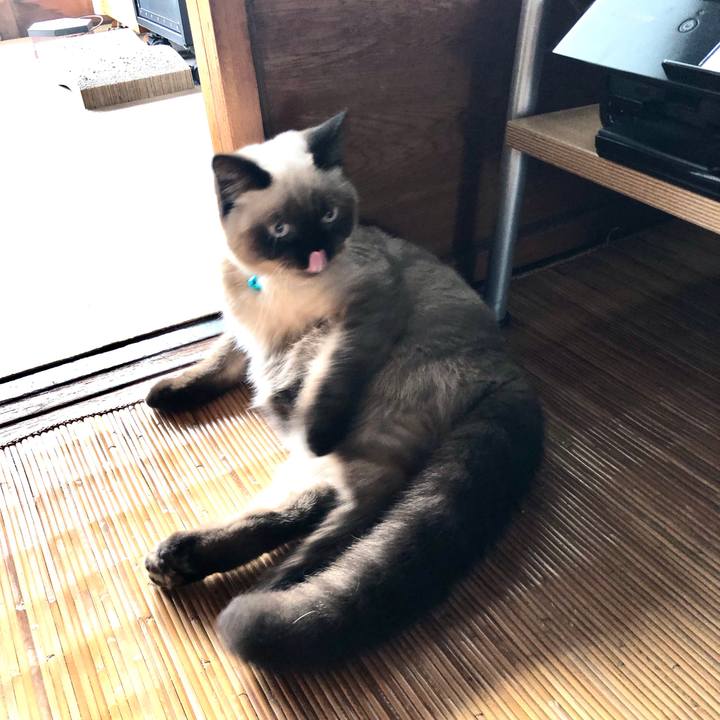 D97e9b24 06a5 4ded a63b 832e43a074d5 1594869067883