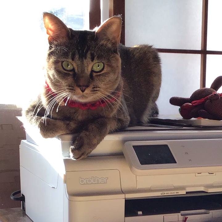 D97e9c12 3b29 4cb2 a3f2 6d73024bab6f 1613727986945