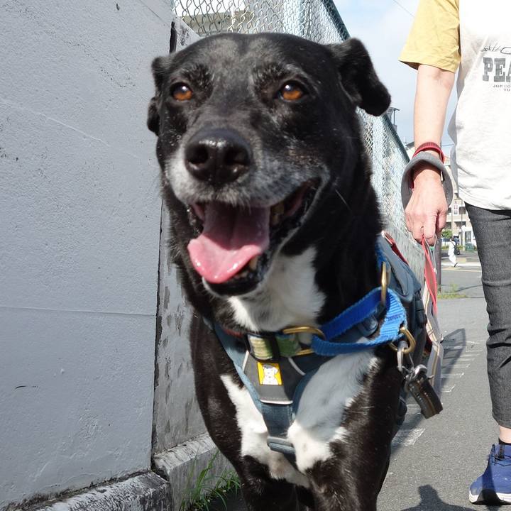 D97ea599 82ce 4a1e 8b1c cb5746ef7d54 1717465182265