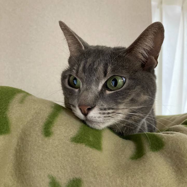 D97ee8da 5eab 45b2 8cda 2173e2cb02cc 1611369235666