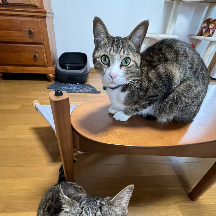 D97ee99e f968 4879 bc2a 2d60c1edfa03 1722949290536