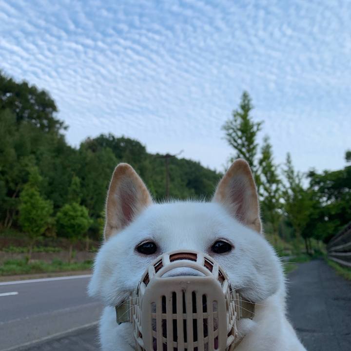 D97eecb9 f88e 4ebb aade a1caeb43f789 1566164720905