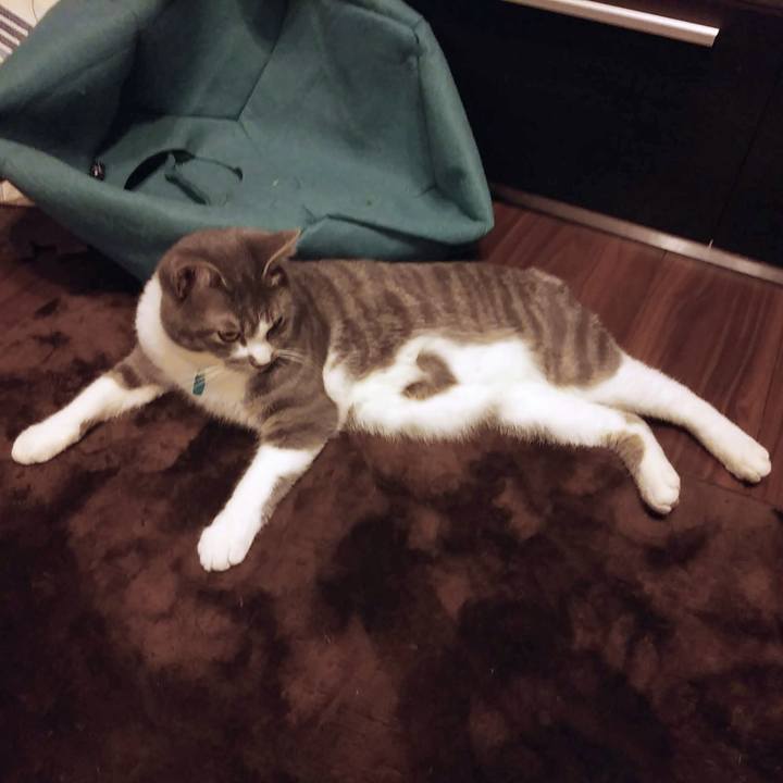 D97efe5d 2a45 4664 927e de5d7dcb87eb 1590963564455