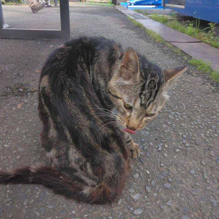 D97f0274 49f6 4990 9234 3cd614fdfca3 1693094487971