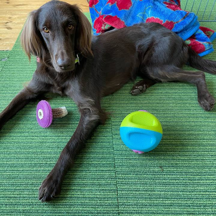 D97f2bd9 1068 40a7 a66c 5416bd12ee84 1609319139117