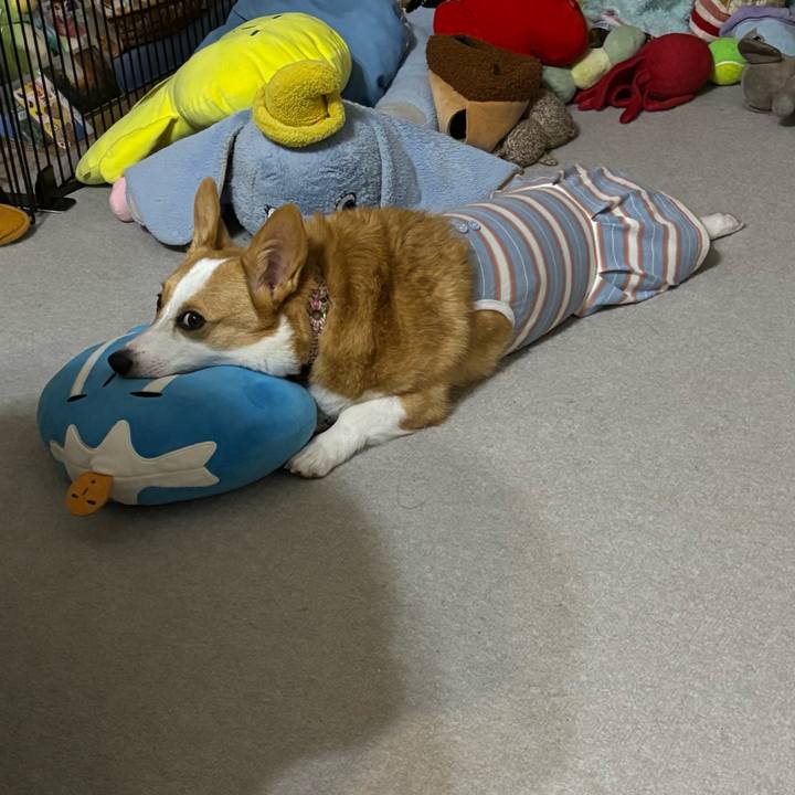 D97f518b 9c0f 45af b89d 416061c966a7 1757520589267