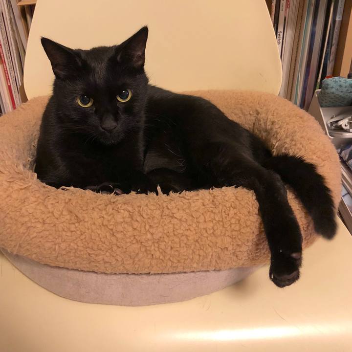 D97f529e 3734 499c b803 16756fe3eed6 1541419648083