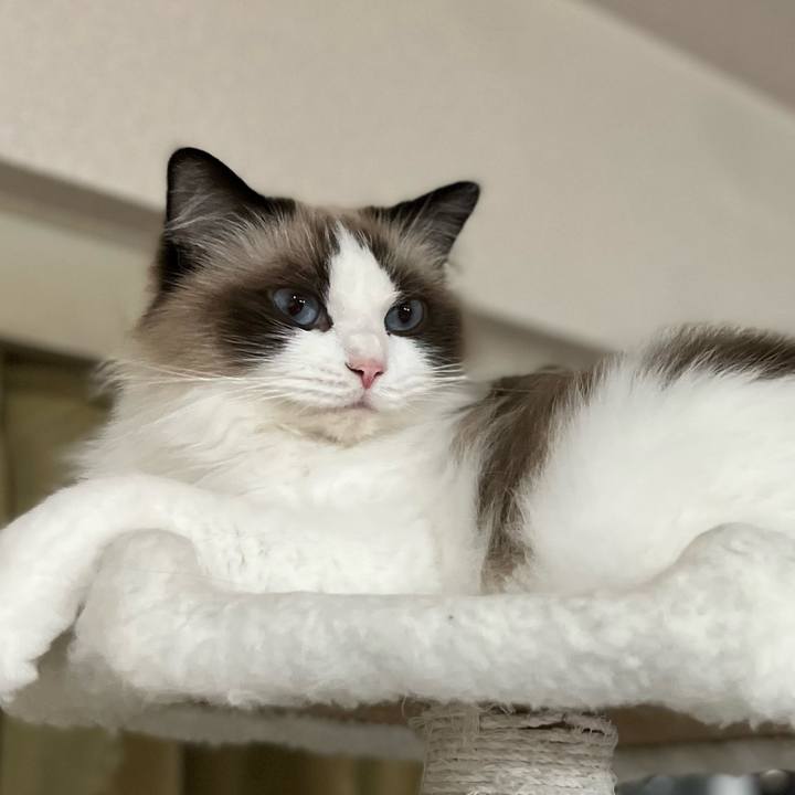 D97f7586 258d 49d0 bb72 cac748ea5bb0 1696162263222