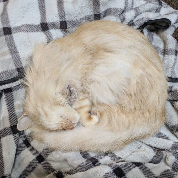 D97fa2e1 0d8e 4a1a b134 16e3223ed285 1774192073177