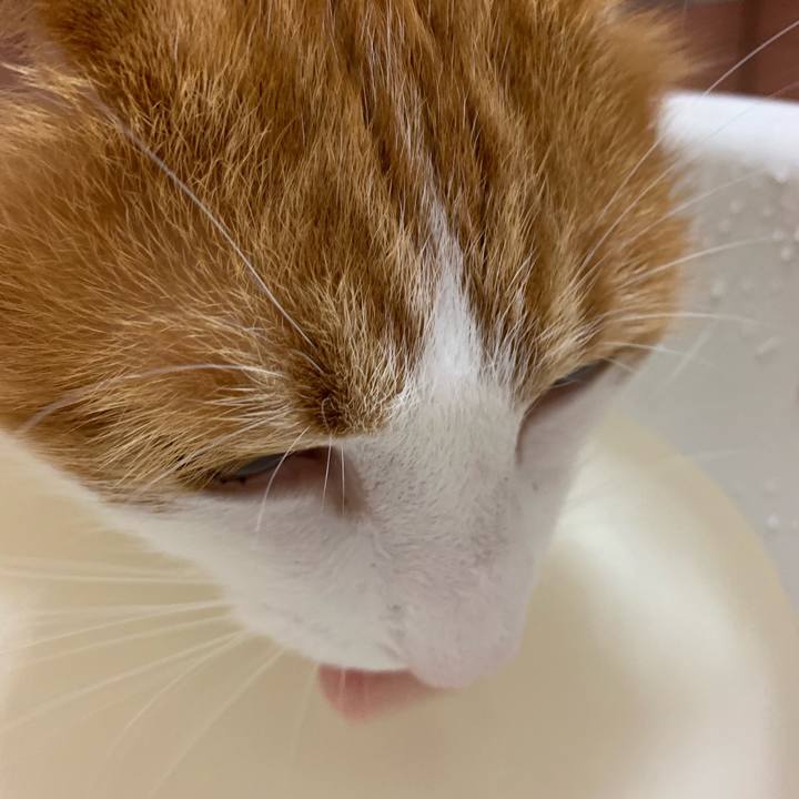 D97fa57e 9bb7 4685 9ff0 0ba1db4e93ea 1563727991073