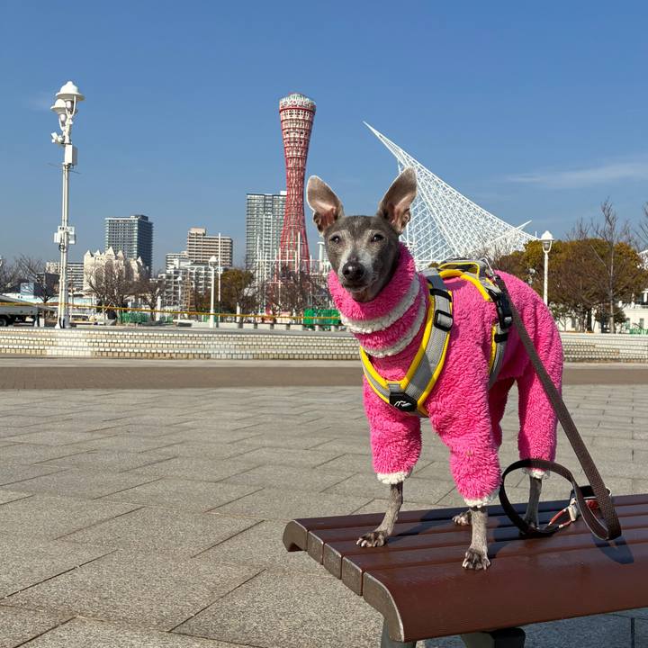 D97fa911 129b 4986 8923 2b598415e364 1772873947076