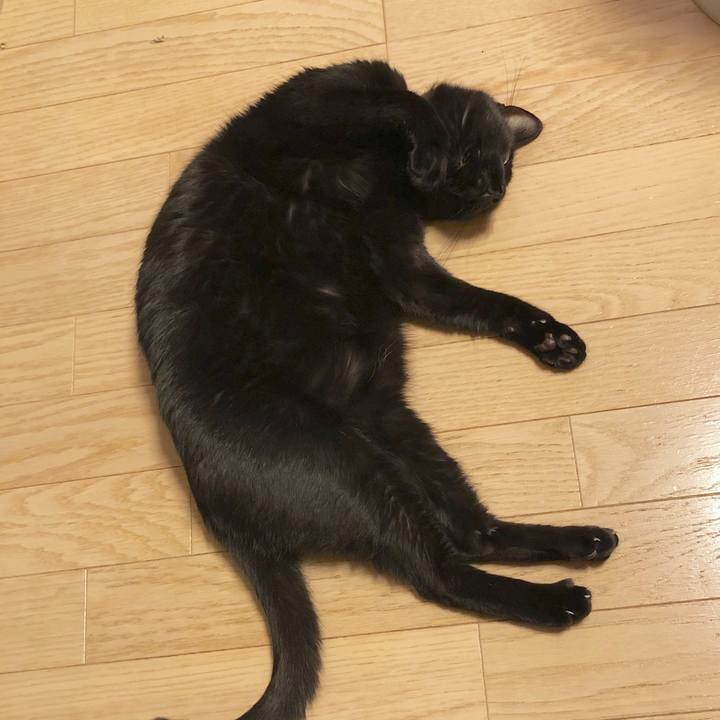 D97fd8bb c63c 418d bc7e 3178713b0061 1547650249813