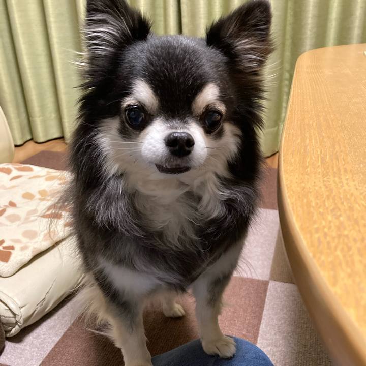 D97ff1b8 847b 4189 95a9 61831974e536 1770804007850