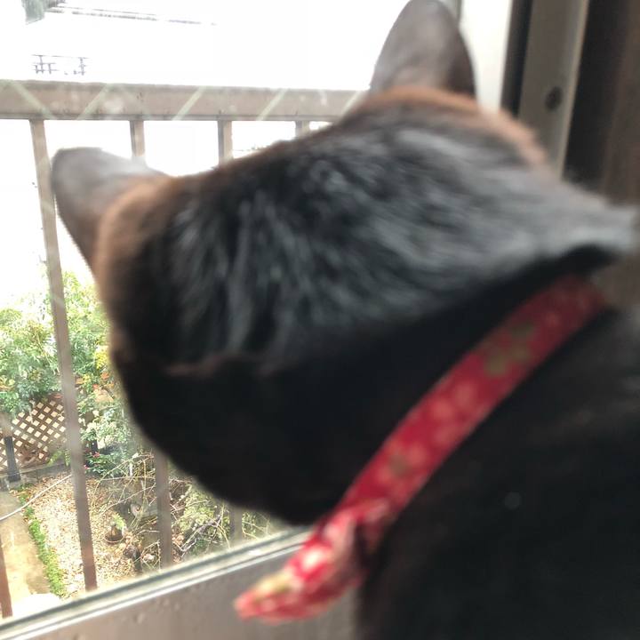 D97ffaef aef9 48a9 8689 74d0b4865a56 1514328155510