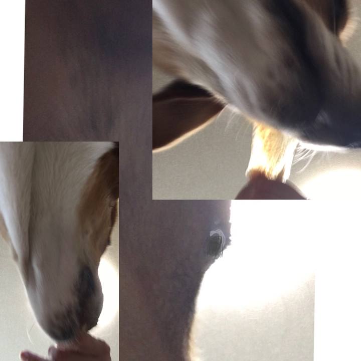 D9807c00 314e 4cf9 b61b f3189f8fe55d 1598702355284