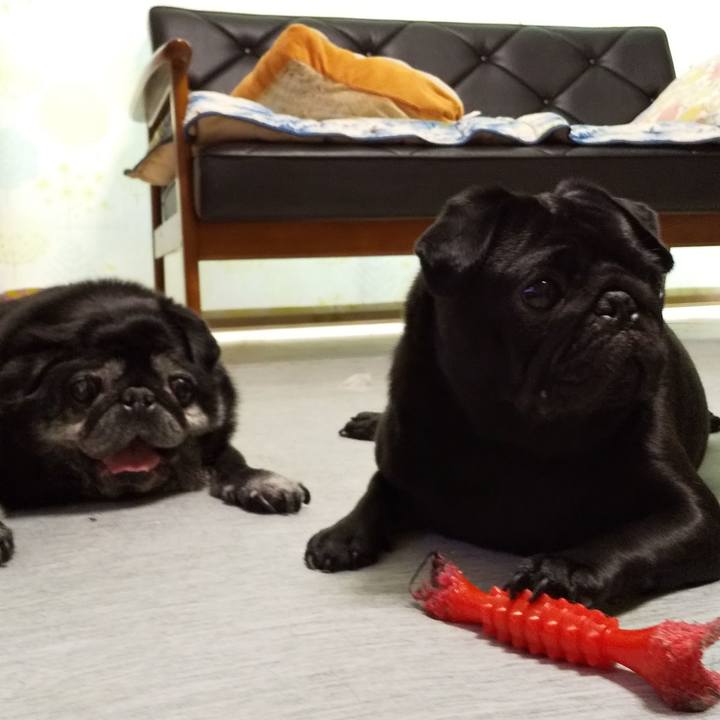 D9808334 68ee 4a71 aed3 ce6a61c8d766 1564823244915