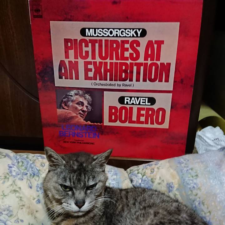 D98083ef af6b 4262 91c7 77342b405d90 1594728205051