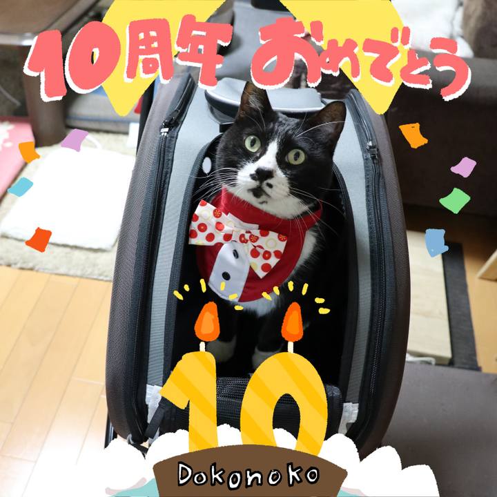 D9808fb5 39cf 4286 91cd 509957132219 1780626856132