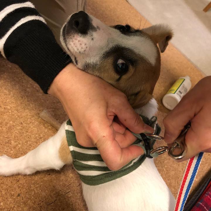 D980b4ae 6377 4801 b009 80011096f31b 1549362345566