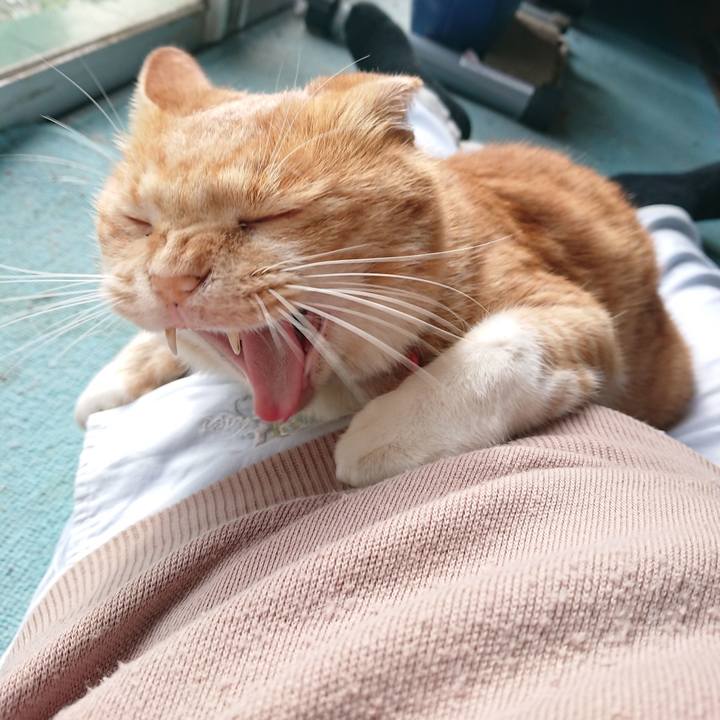 D980bc77 a4f3 4618 b6f2 efa9d8fefa3a 1572156504933