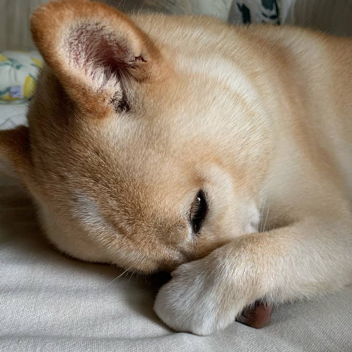 D980f443 41ca 49fb ae35 4fd713ef13af 1630722612445