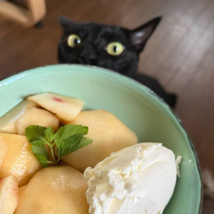 D9810345 c0e9 4c08 813f 1a25e276ad25 1693274230931