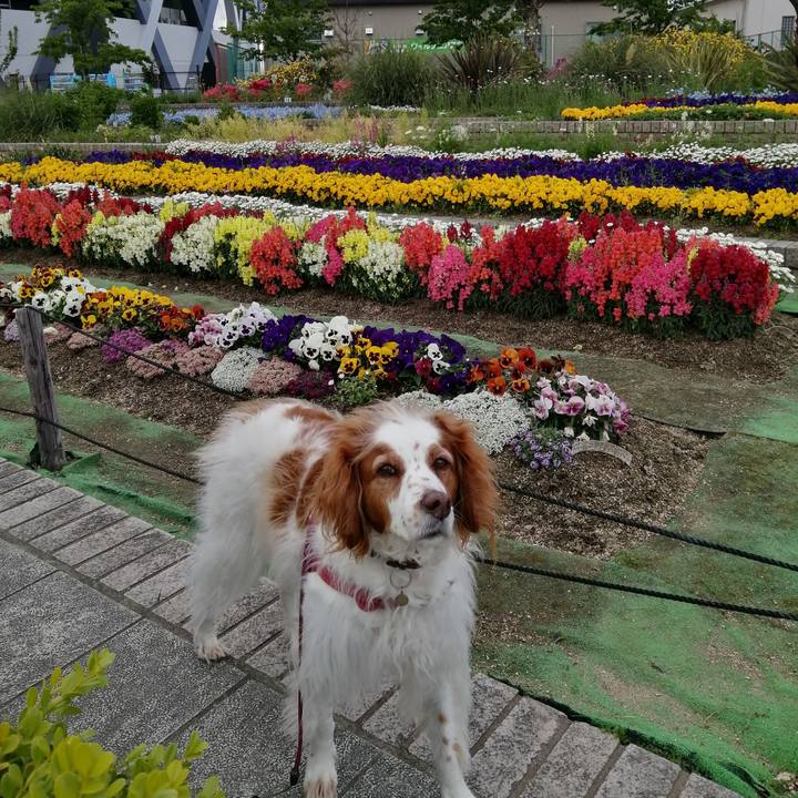 D9814aee 9679 49a8 a14f 069d1cc6d7cc 1618401051663