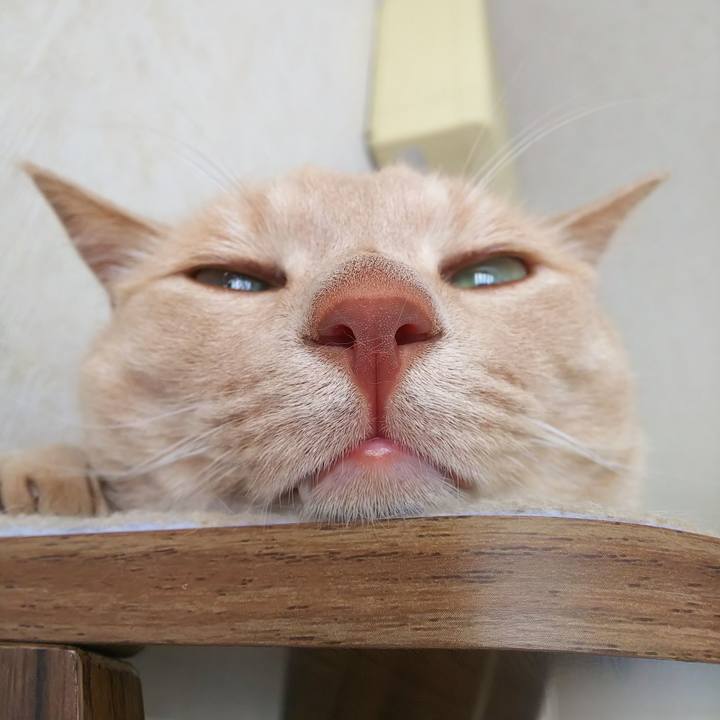 D9818910 1b2a 4e81 8bcb 1ff6f281f731 1688879171286