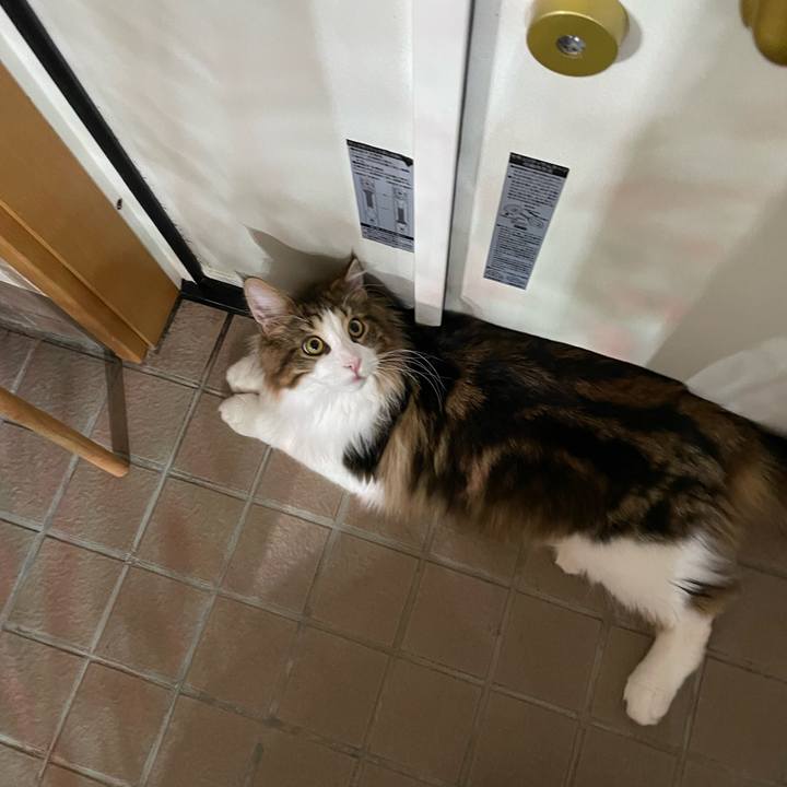 D9818b1e 0c36 49b3 b601 7b3d1539f675 1642716465133