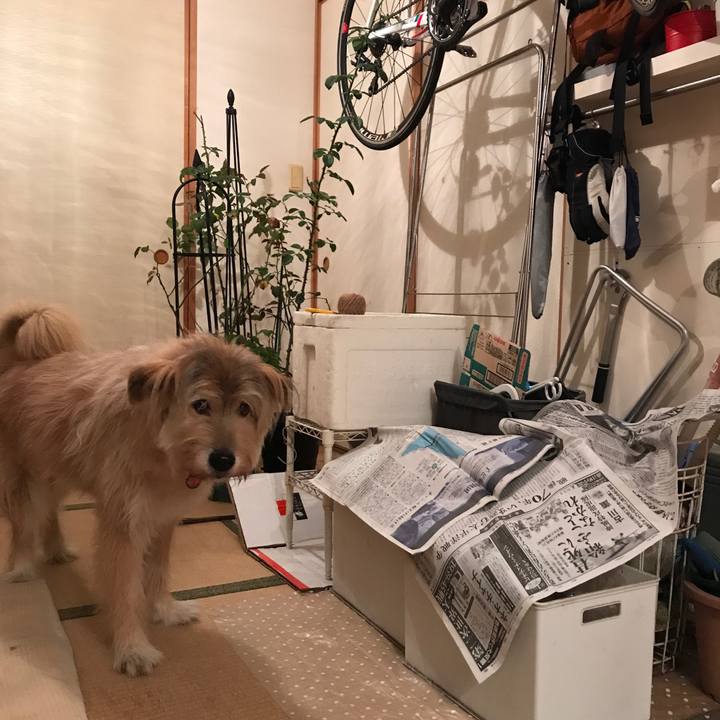 D981e992 9845 4495 9222 236a66b61811 1570795171688