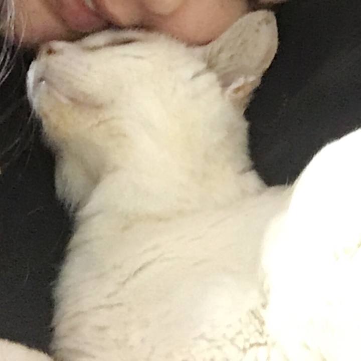 D98212b9 d795 449b 81fc 20ac9be70bc7 1513135306434