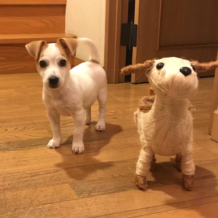 D9823be5 dd2e 4e58 830a 42a0ec9668fa 1543883221344