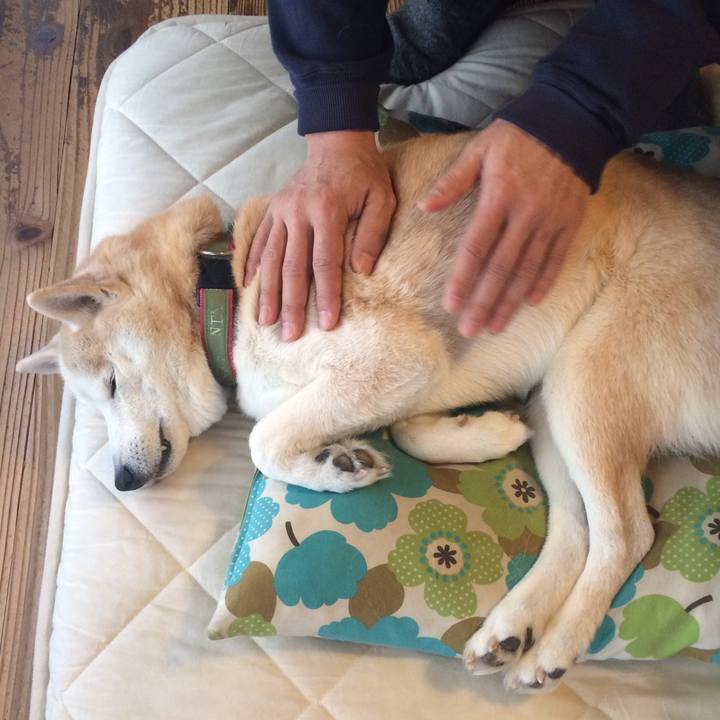 D982bcb8 611c 459b aa7e 2bb8c6b252c3 1550365472913